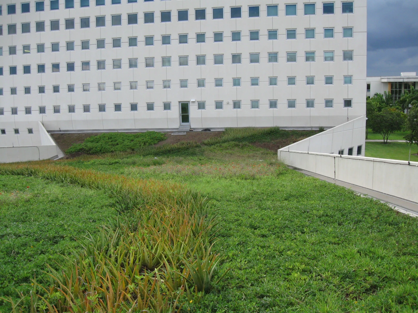 Picture of Vegetated